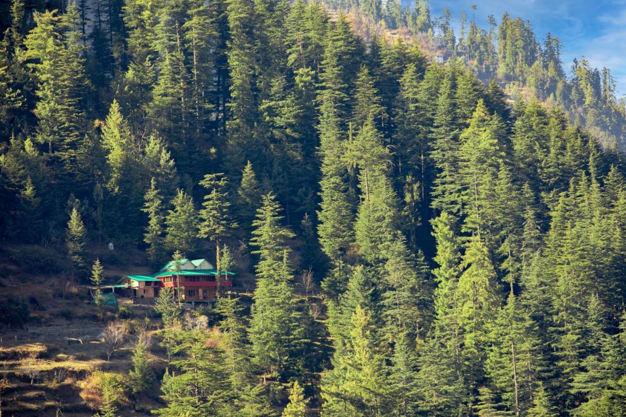 Freebird Nest Jibhi Hotel ภายนอก รูปภาพ