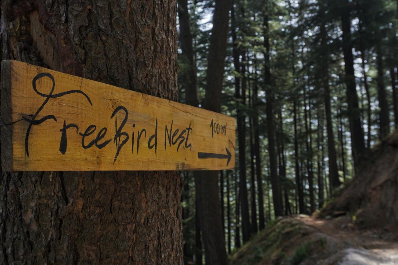 Freebird Nest Jibhi Hotel ภายนอก รูปภาพ